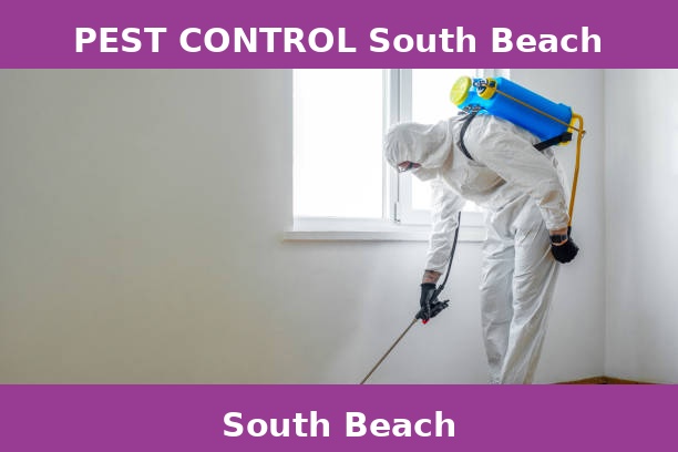 PEST CONTROL South Beach